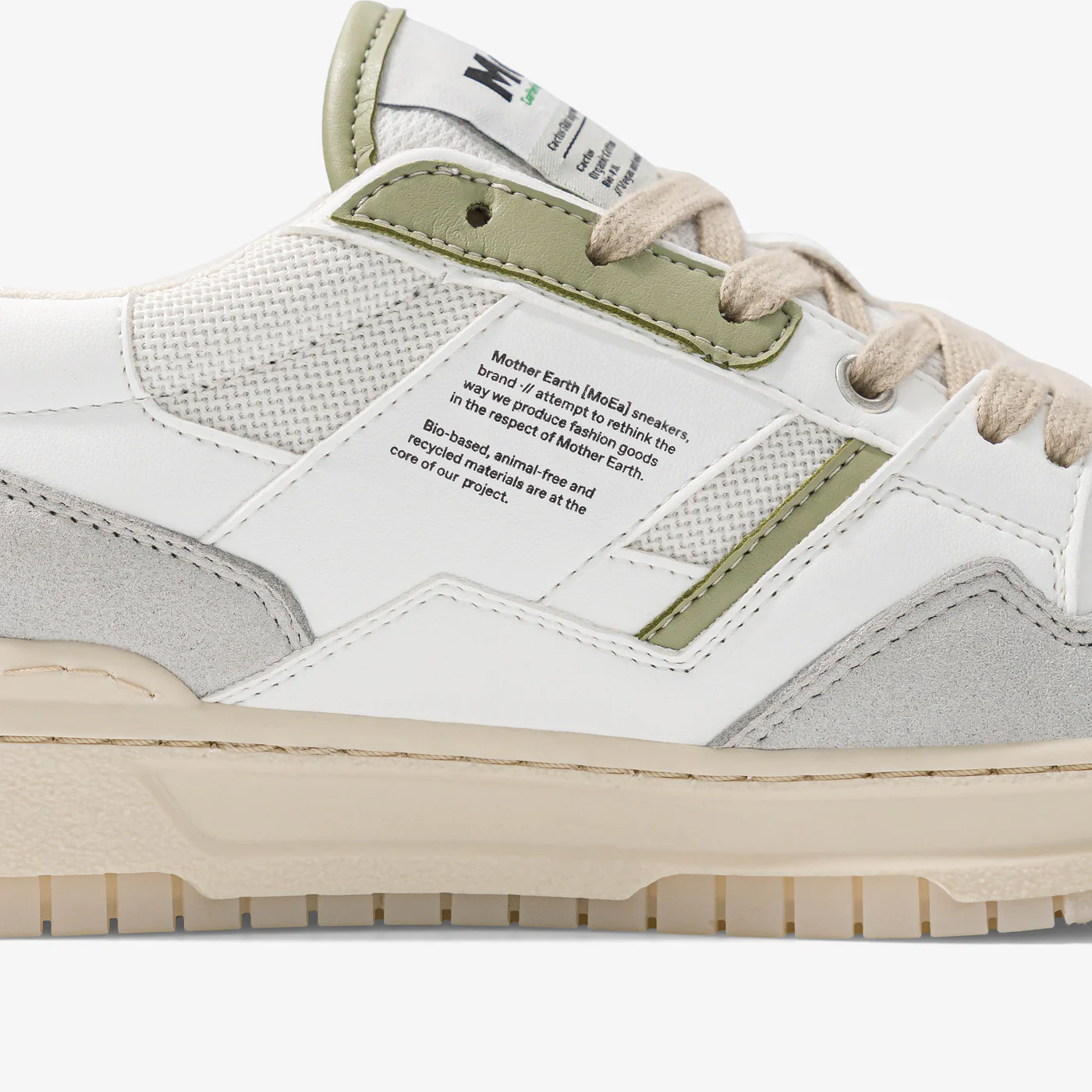 gen2-cactus-white-et-aloe