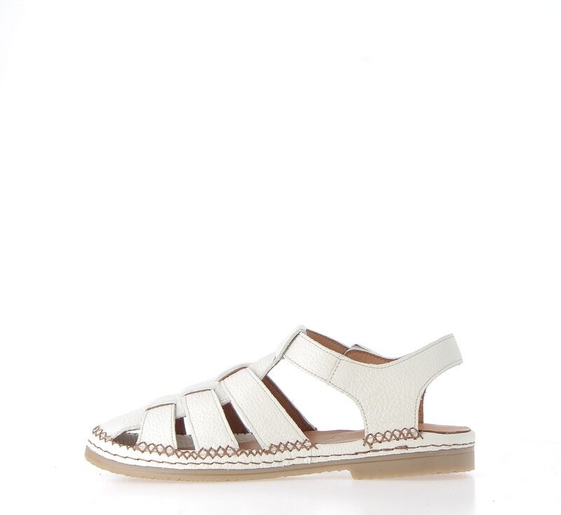 coco-abricot-magescq-beige