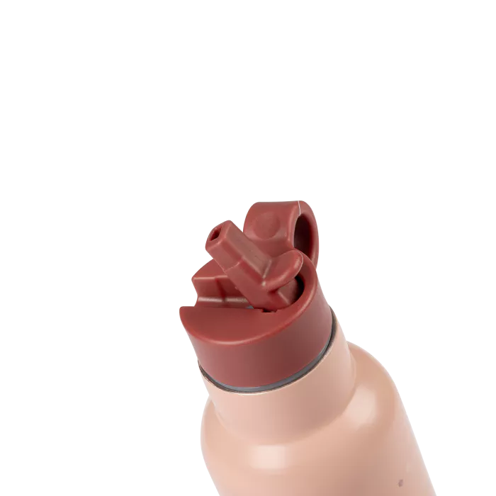 mr-gourde-apres-la-pluie