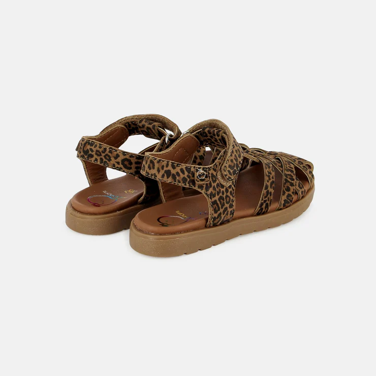 sp-kerala-easy-strap-leopard