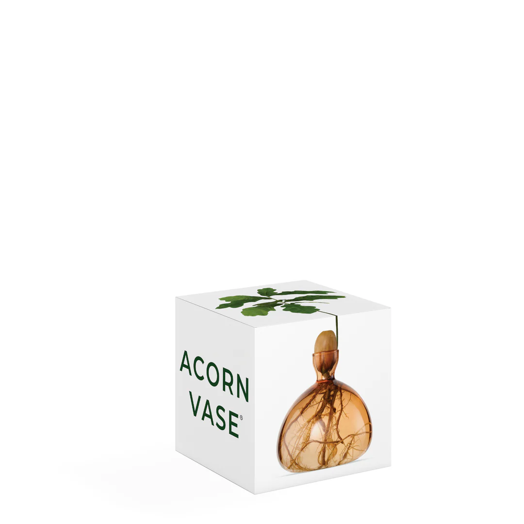 ilex-acorn-vase-abricot