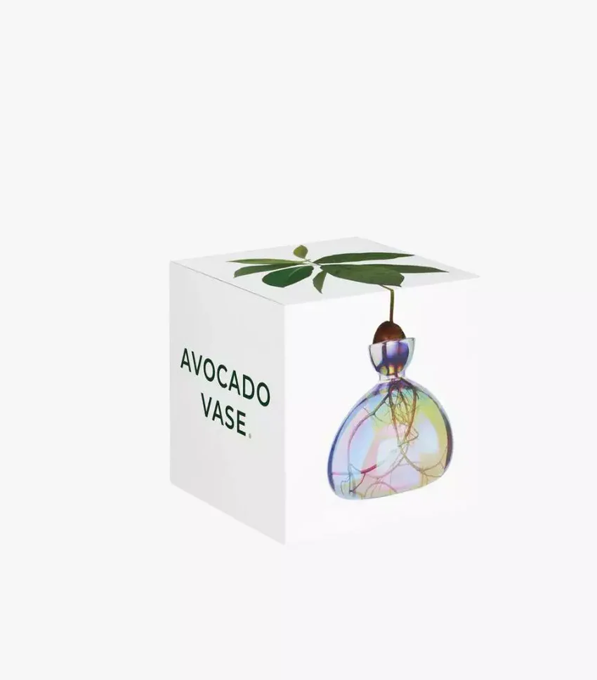 ilex-avocado-vase-cosmic