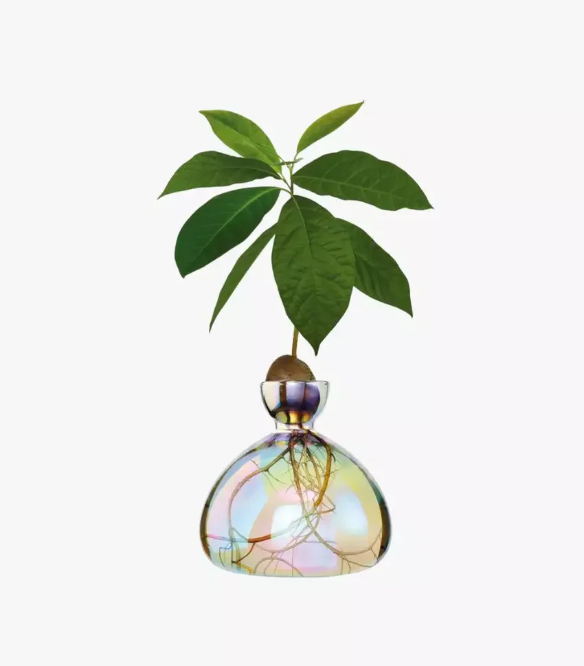 ilex-avocado-vase-cosmic