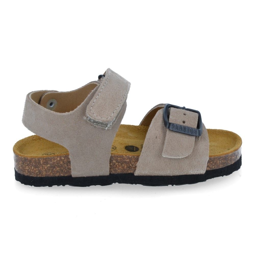 plakton-parker-piedra